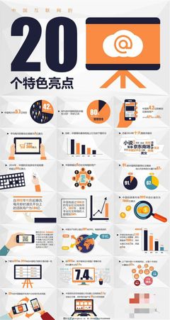 中國互聯(lián)網(wǎng)的20個特色亮點